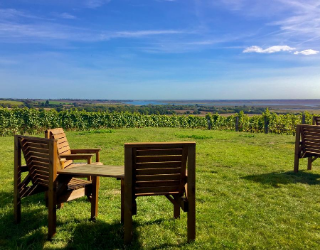 Views of the river Crouch from Clayhill Vineyard